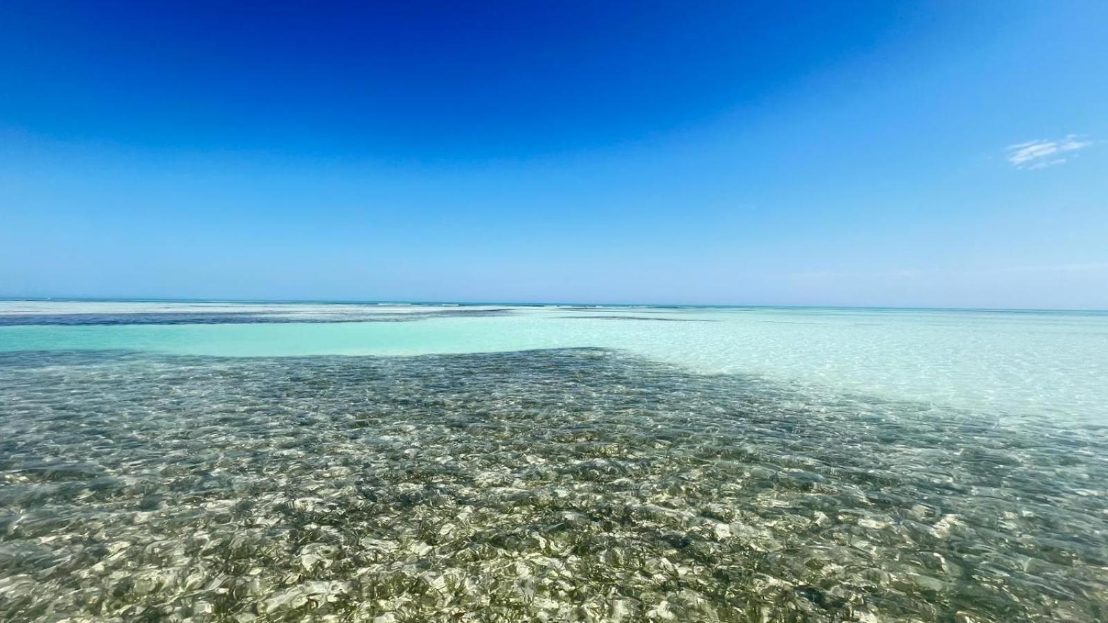 Casa Pascale Hotel Punta Allen Buitenkant foto